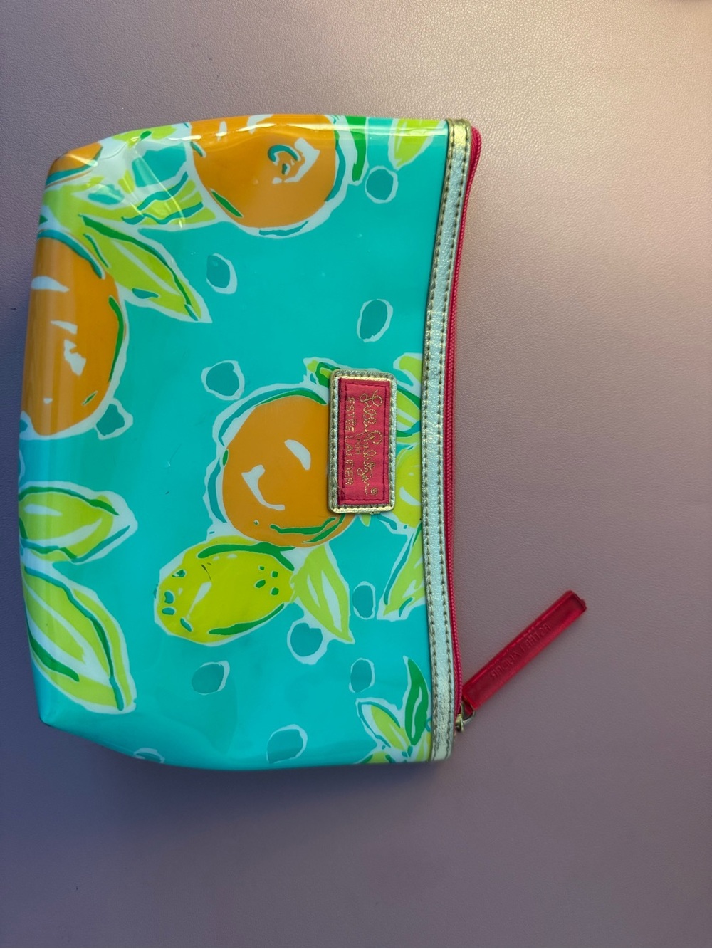 Lilly Pulitzer Teal Citrus Zip Pouch with Pink Trim